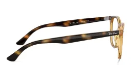 Shop Ray-Ban Unisex Round Eyeglasses in Havana online.