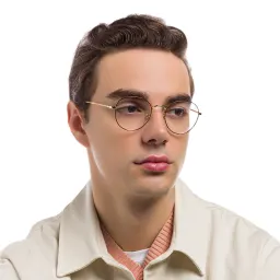 Shop Ray-Ban David Unisex Panthos Eyeglasses in Havana On Gold online.