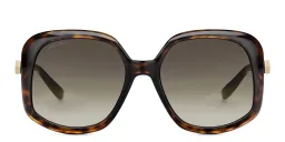 Shop JIMMY CHOO Amada/S Square Sunglasses in Havana online.