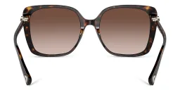 Shop BVLGARI Oversized Square Sunglasses in Dark Havana online.
