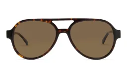 Shop EYE'M Logo Signature Aviator Sunglasses in Havana online.