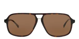 Shop EYE'M Aviator Sunglasses in Havana online.