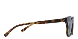 Shop EYE'M Square Sunglasses in Havana online.