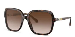 Shop BVLGARI Square Sunglasses in Havana online.