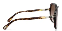 Shop BVLGARI Square Sunglasses in Havana online.