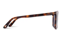Shop TOM FORD Fletcher Square Sunglasses in Havana online.