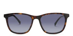Shop EYE'M Square Sunglasses in Havana online.