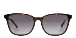 Shop EYE'M Square Sunglasses in Havana online.
