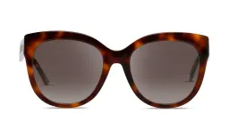تسوق نظارات شمسية طراز كات آي EYE'M بلون Havana أونلاين.
