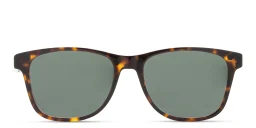 Shop EYE'M Square Eyeglasses in Havana online.