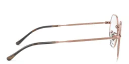 Shop Ray-Ban Jack Unisex Irregular Eyeglasses in Copper online.