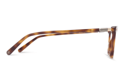 Shop EYE'M Square Eyeglasses in Havana online.