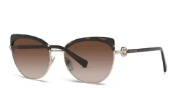 Shop BVLGARI Cat Eye Sunglasses in Havana online.