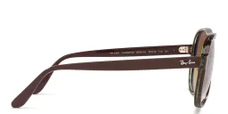 Shop Ray-Ban Unisex Aviator Sunglasses in Brown online.