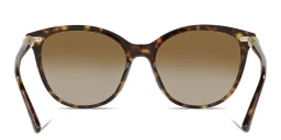 Shop BVLGARI Cat Eye Sunglasses in Havana online.