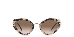 Shop MIU MIU Cat Eye Sunglasses in Havana Pink online.