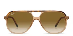 Shop Ray-Ban Square Sunglasses in Havana On Transparent Brown online.