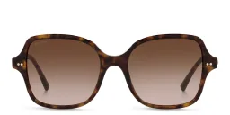 Shop BVLGARI Square Sunglasses in Havana online.