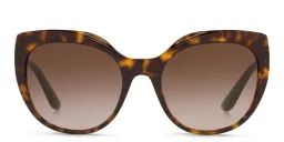 Shop Dolce & Gabbana Cat-Eye Sunglasses in Havana online.