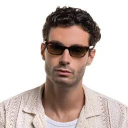 Shop Ray-Ban Cat-Eye Sunglasses in Striped Havana online.