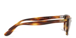 Shop Ray-Ban Cat-Eye Sunglasses in Striped Havana online.