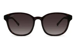 Shop EYE'M Round Sunglasses in Brown online.
