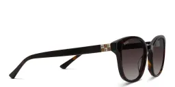 Shop EYE'M Round Sunglasses in Brown online.