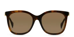 Shop GUCCI Square Sunglasses in Havana online.