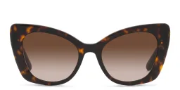 Shop Dolce & Gabbana Butterfly Sunglasses in Havana online.