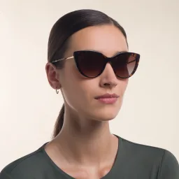 Shop Dolce & Gabbana Butterfly Sunglasses in Havana online.