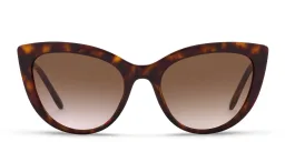 Shop Dolce & Gabbana Butterfly Sunglasses in Havana online.