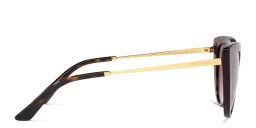Shop Dolce & Gabbana Butterfly Sunglasses in Havana online.