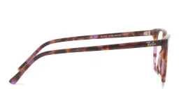 Shop Ray-Ban Elliot Unisex Irregular Eyeglasses in Brown & Violet Havana online.