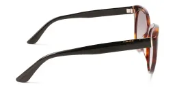 Shop Calvin Klein Cat-Eye Sunglasses in Brown online.