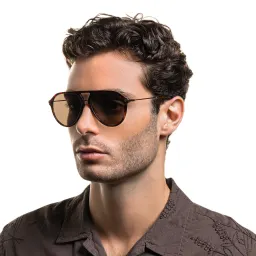 Shop EYE'M Aviator Sunglasses in Havana online.