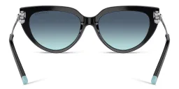 Shop TIFFANY Cat-Eye Sunglasses in Black online.