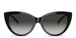 Shop TIFFANY Cat-Eye Sunglasses in Black online.