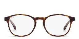 Shop Ray-Ban Unisex Panthos Eyeglasses in Havana On Transparent online.