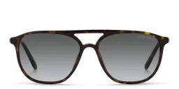 Shop GIORGIO ARMANI Pilot Sunglasses in Havana online.