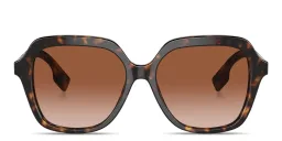 Shop BURBERRY Square Sunglasses in Dark Havana online.