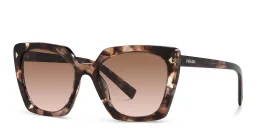 Shop PRADA Square Sunglasses in Caramel Tortoise online.