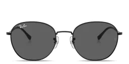 Shop Ray-Ban Unisex Panthos Sunglasses in Black online.