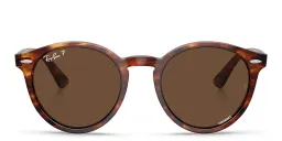 Shop Ray-Ban Larry Unisex Panthos Sunglasses in Striped Havana online.