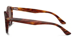 Shop Ray-Ban Larry Unisex Panthos Sunglasses in Striped Havana online.