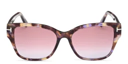 Shop TOM FORD Elsa Butterfly Sunglasses in Colored Havana online.