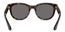 Shop BURBERRY Logo Panthos Sunglasses in Havana online.