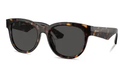 Shop BURBERRY Logo Print Panthos Sunglasses in Dark Havana online.
