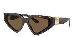 Shop Dolce & Gabbana Logo Butterfly Sunglasses in Havana online.