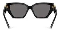 Shop TIFFANY T Deco Cat-Eye Sunglasses in Black online.