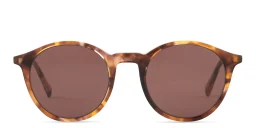 Shop EYE'M Round Sunglasses in Havana online.